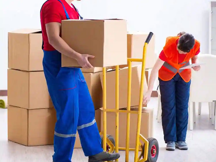Packers And Movers All India