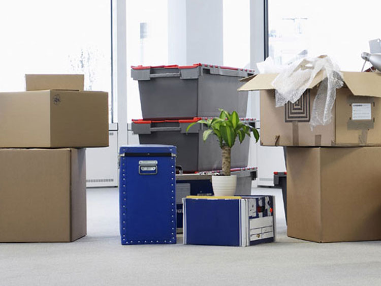 Packers And Movers Commercial